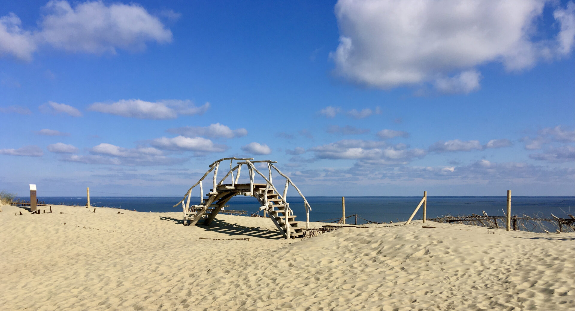 Tote Dünen & lebende Tiere – Sand, Elche und ein Fuchs