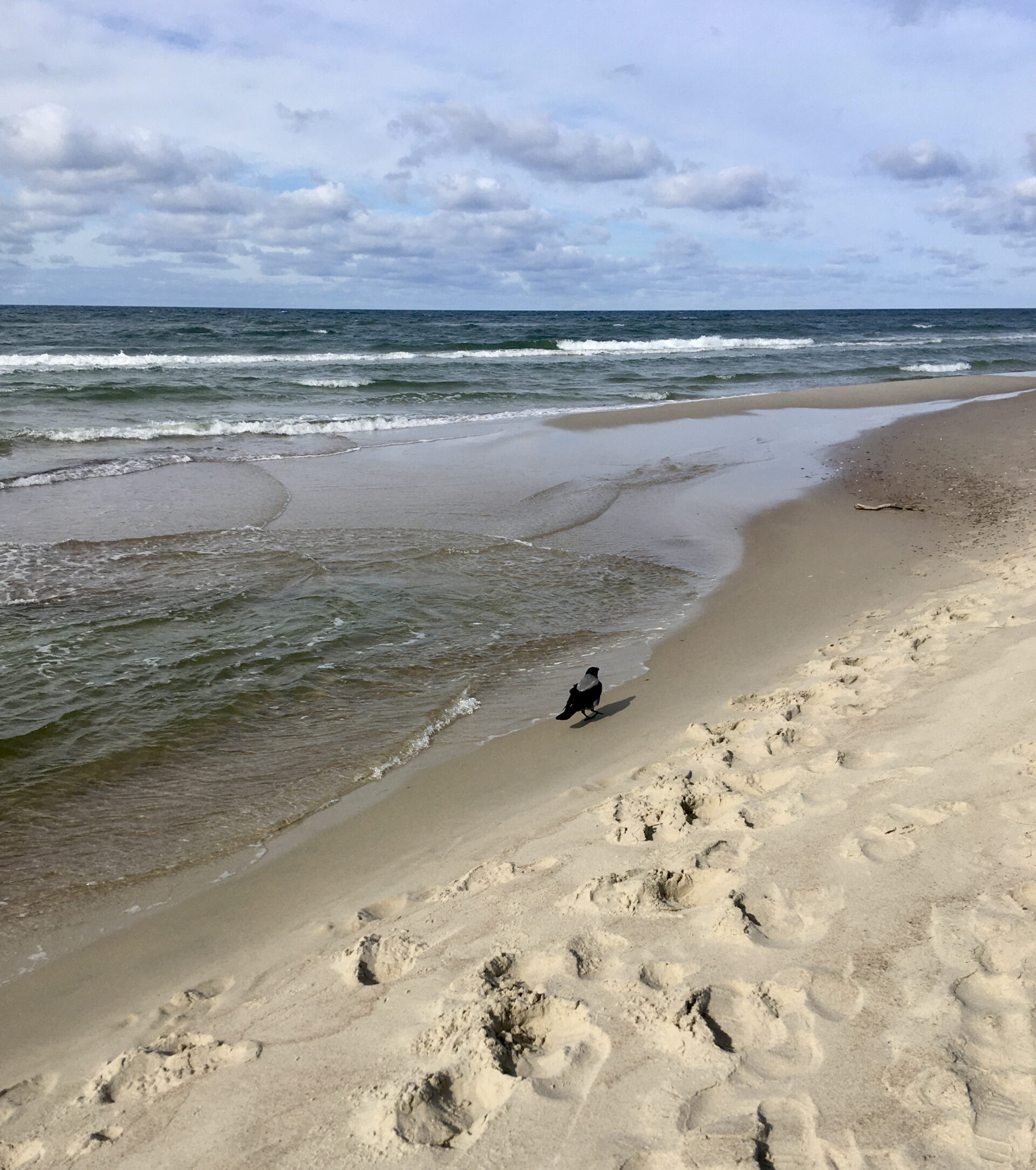Schatzsuche an der Ostsee – Bernstein am Strand